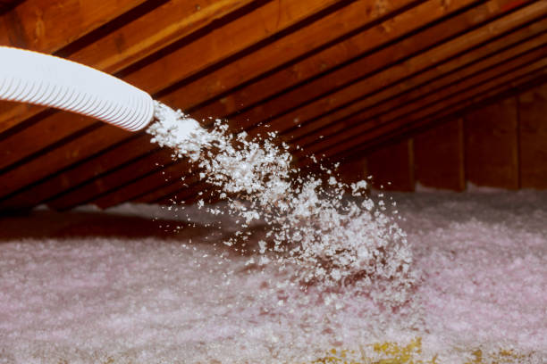 Best Cellulose Insulation in Woodlawn Beach, FL