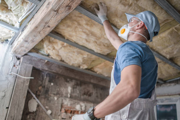 Types of Insulation We Offer in Woodlawn Beach, FL
