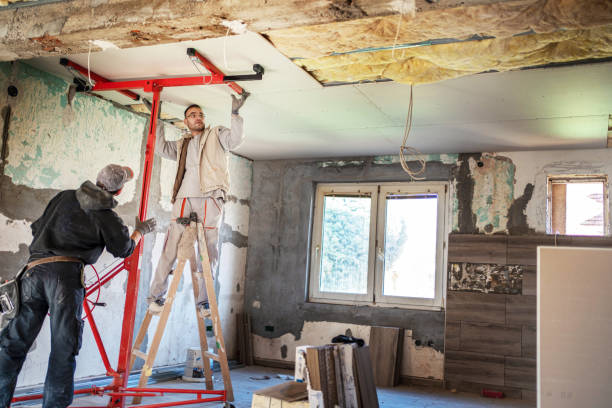 Best Eco-Friendly Insulation in Woodlawn Beach, FL