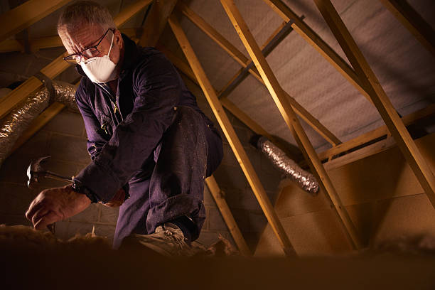 Best Residential Insulation in Woodlawn Beach, FL